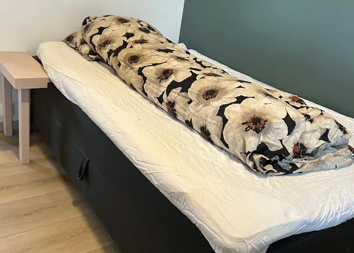 Exclusive 4-bedroom -central Villa *